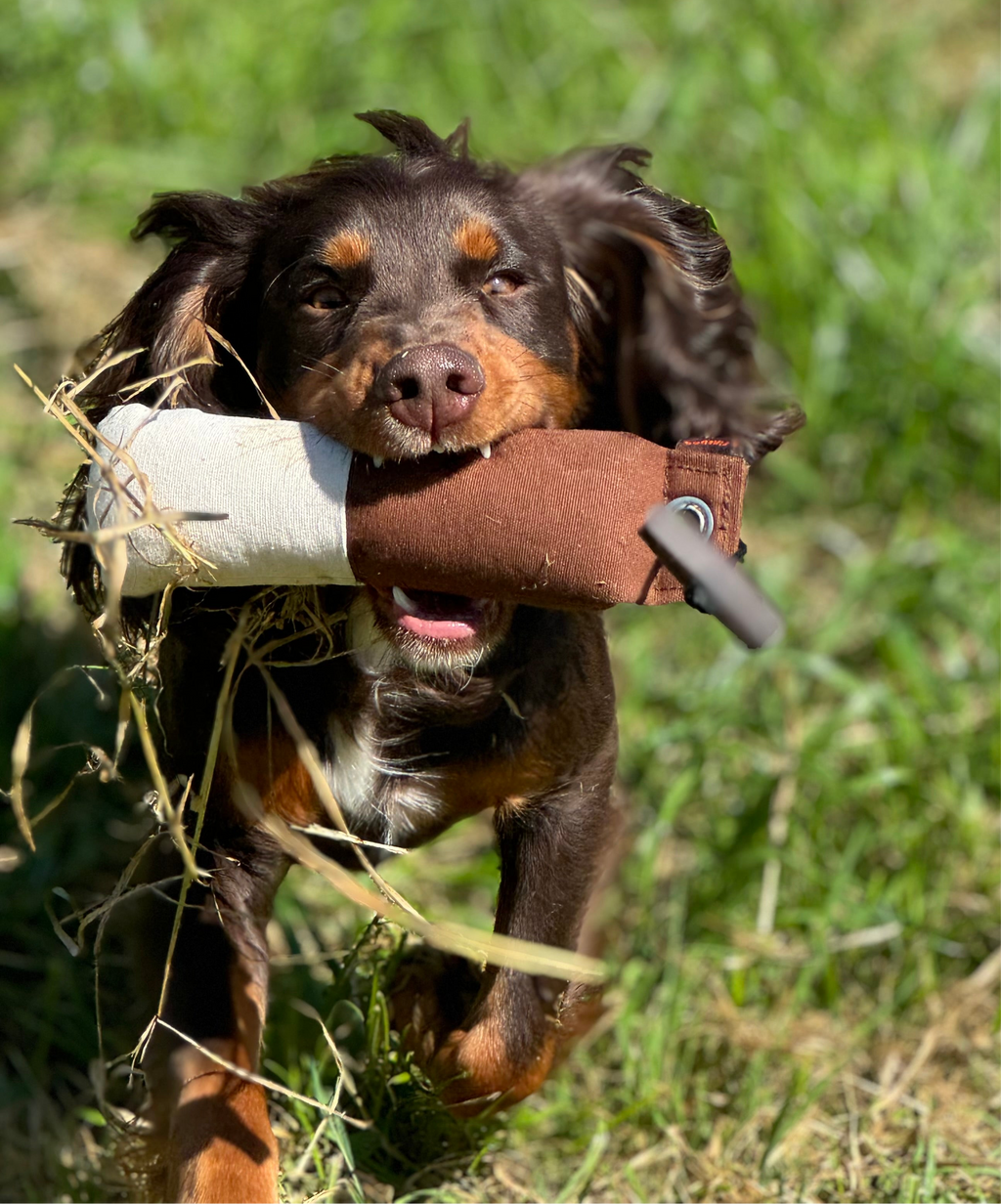 Firedog 300g Dummy