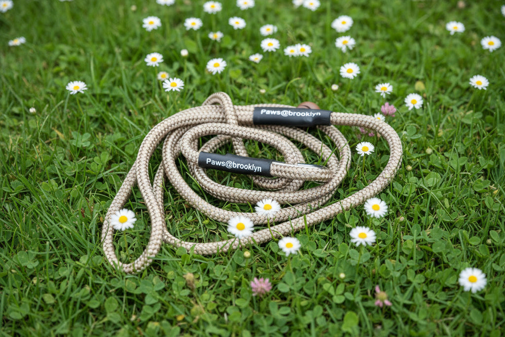 Paws@Brooklyn The Slip & Go 6mm Slip Lead