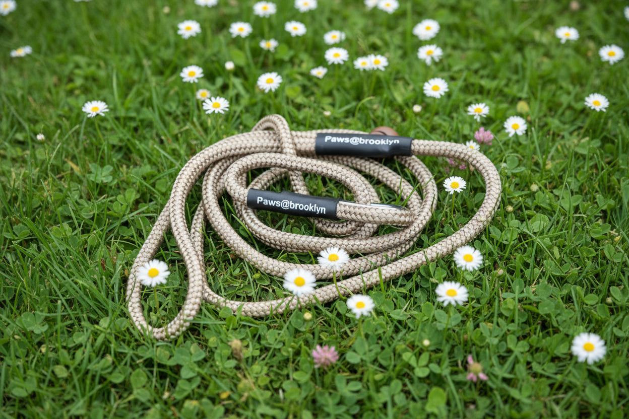 Paws@Brooklyn The Slip & Go 6mm Slip Lead
