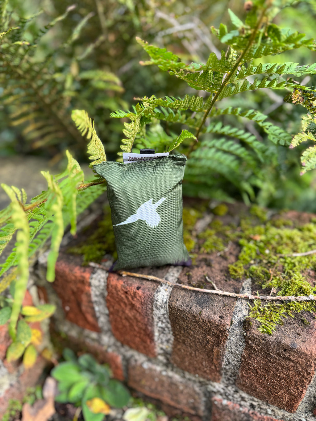 Paws@brooklyn Paws Spaniel Dummies