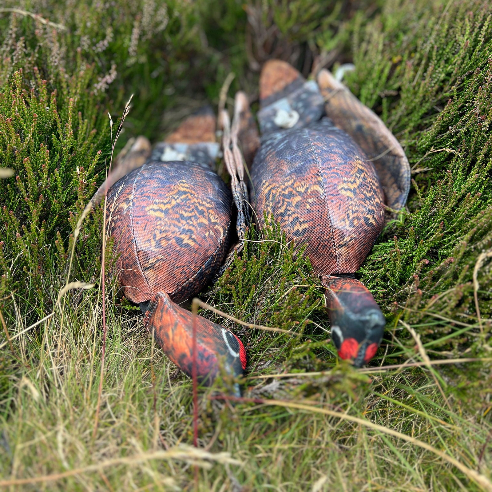 Dog & Field Feather Print Dummies