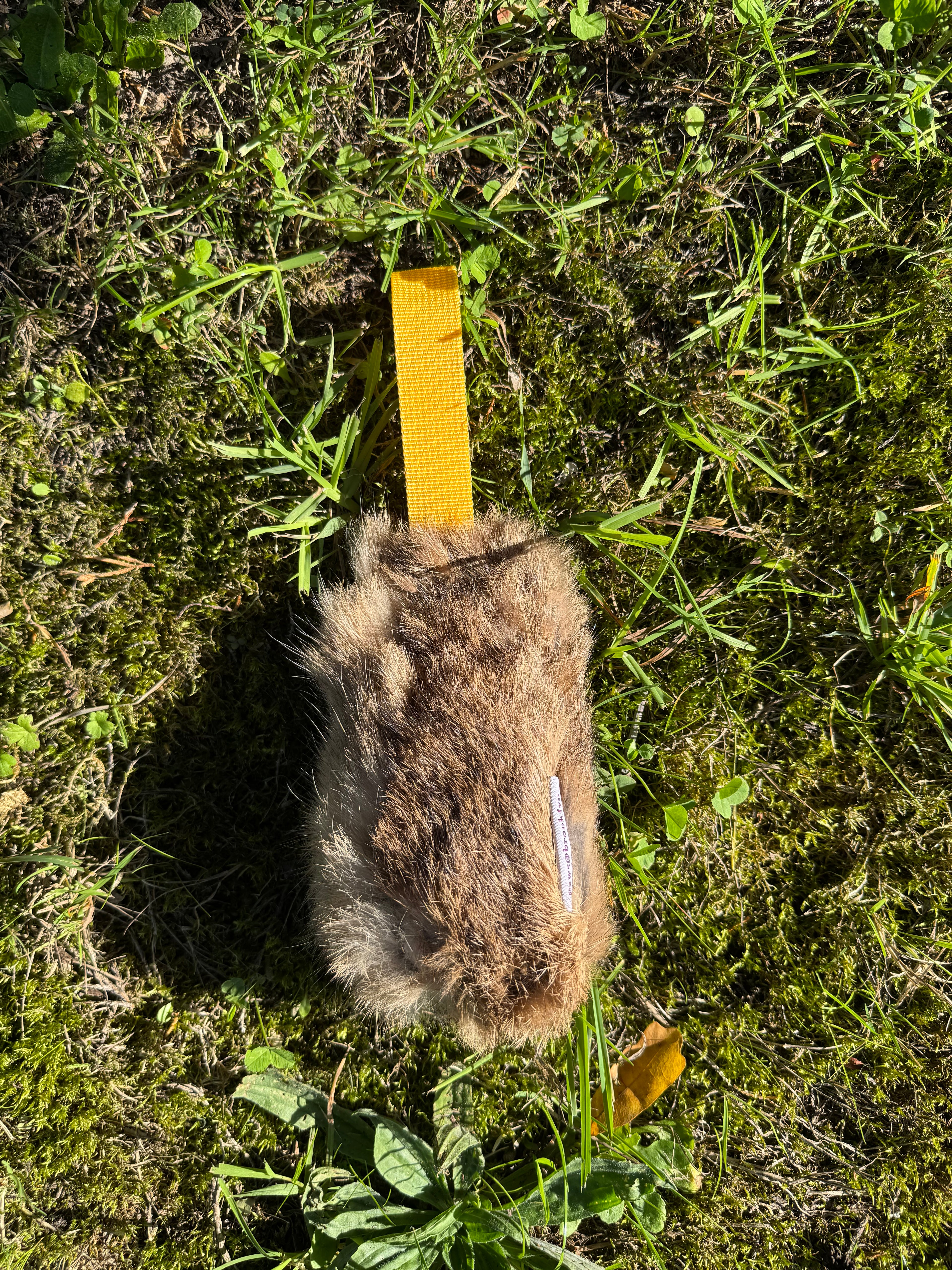 Paws@brooklyn Rabbit Dummy Balls with Throwing Straps