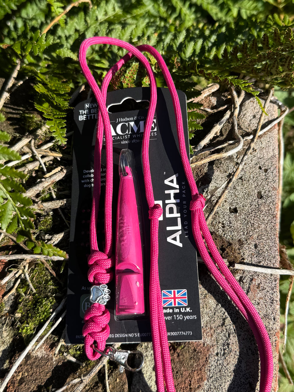 Paws@brooklyn Silver Paw Lanyard with Alpha Whistle