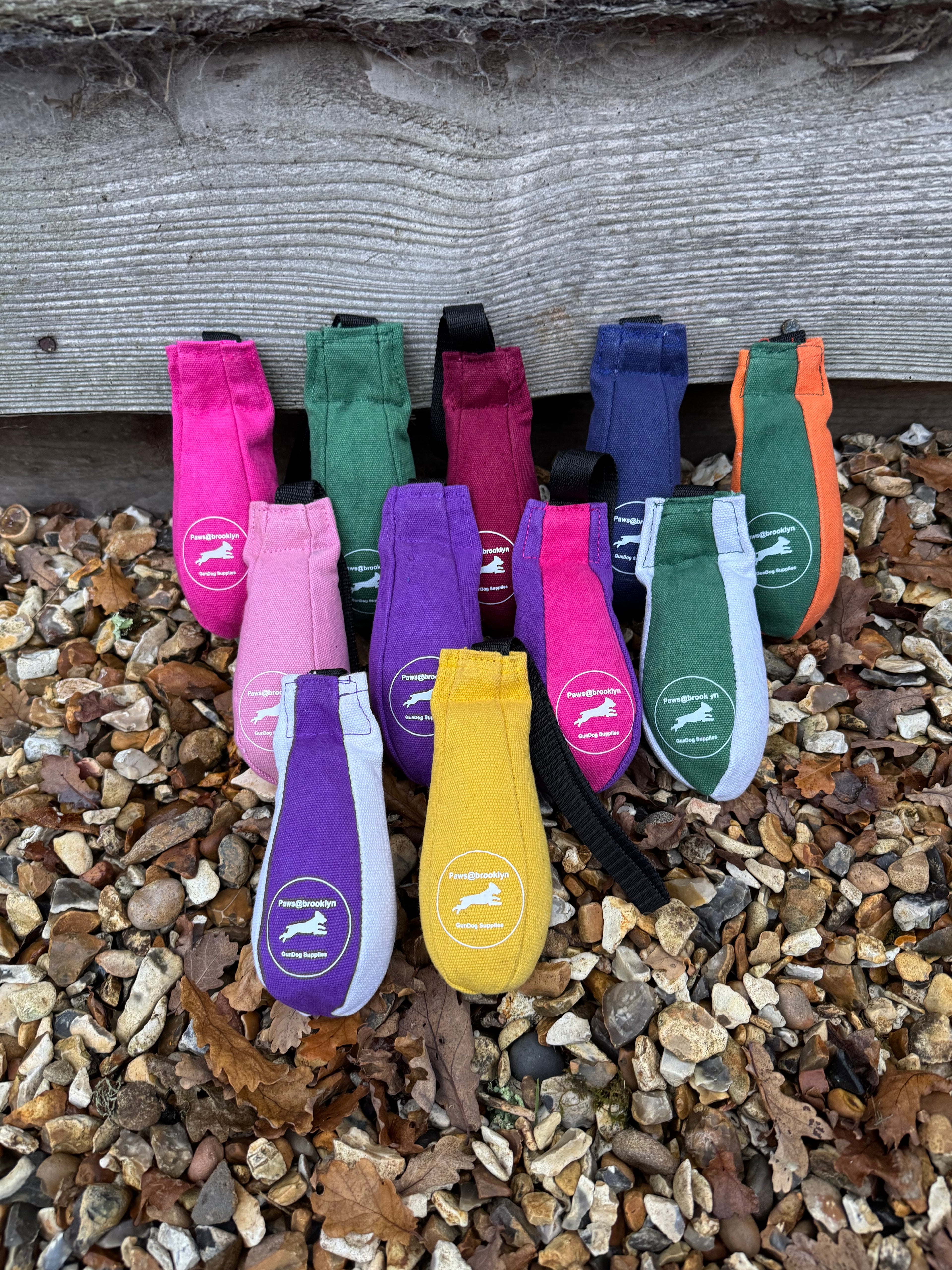 Paws@brooklyn Speedy Dummy Balls