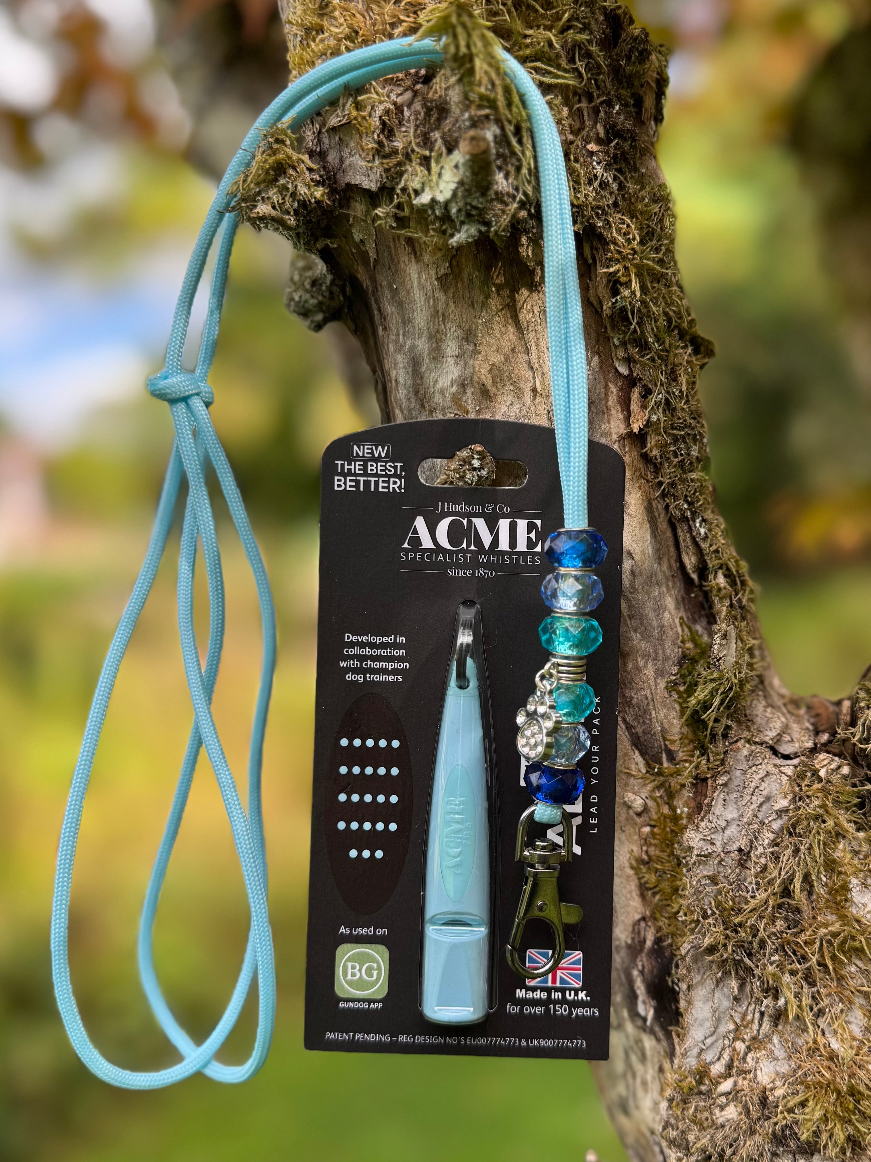 Beaded Lanyard with Alpha Whistle
