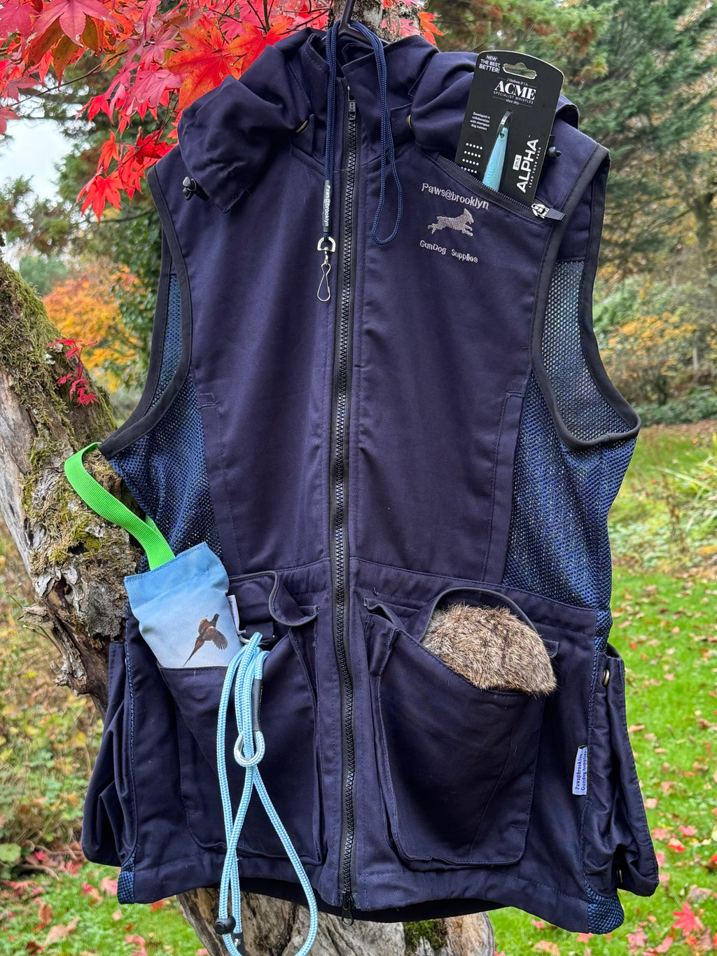 Paws@brooklyn Winter Special Offer