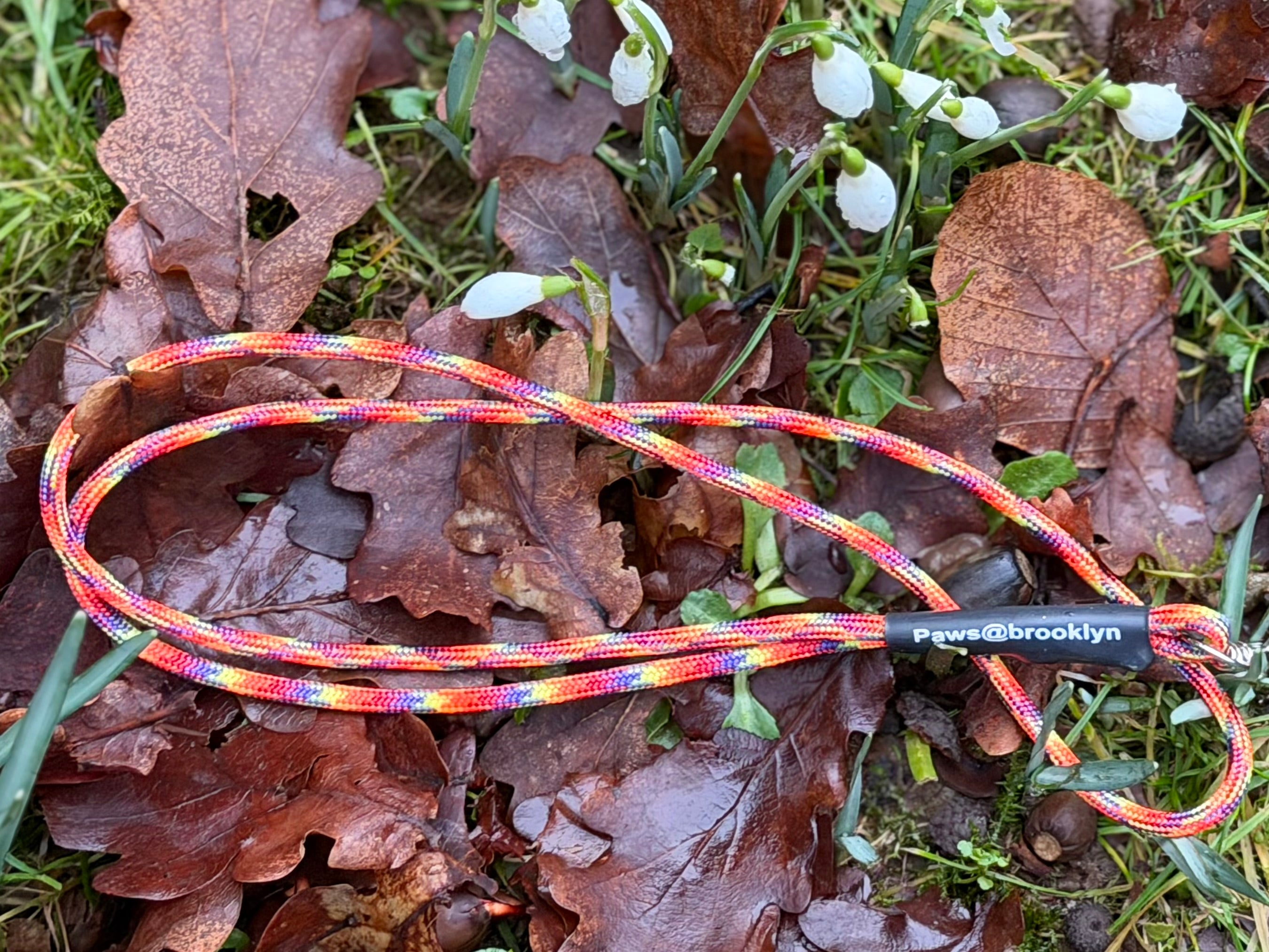 Paws@brooklyn Lanyards