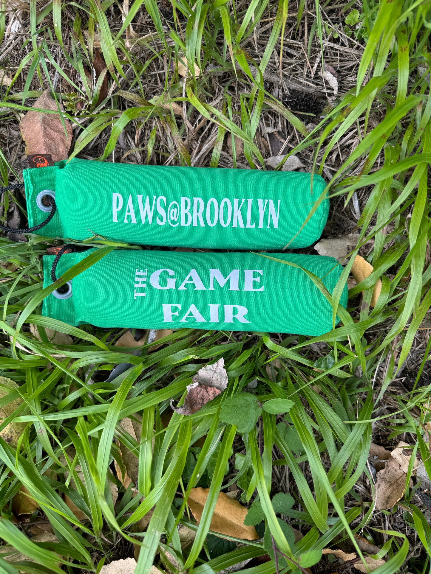 Paws@brooklyn Game Fair Dummies