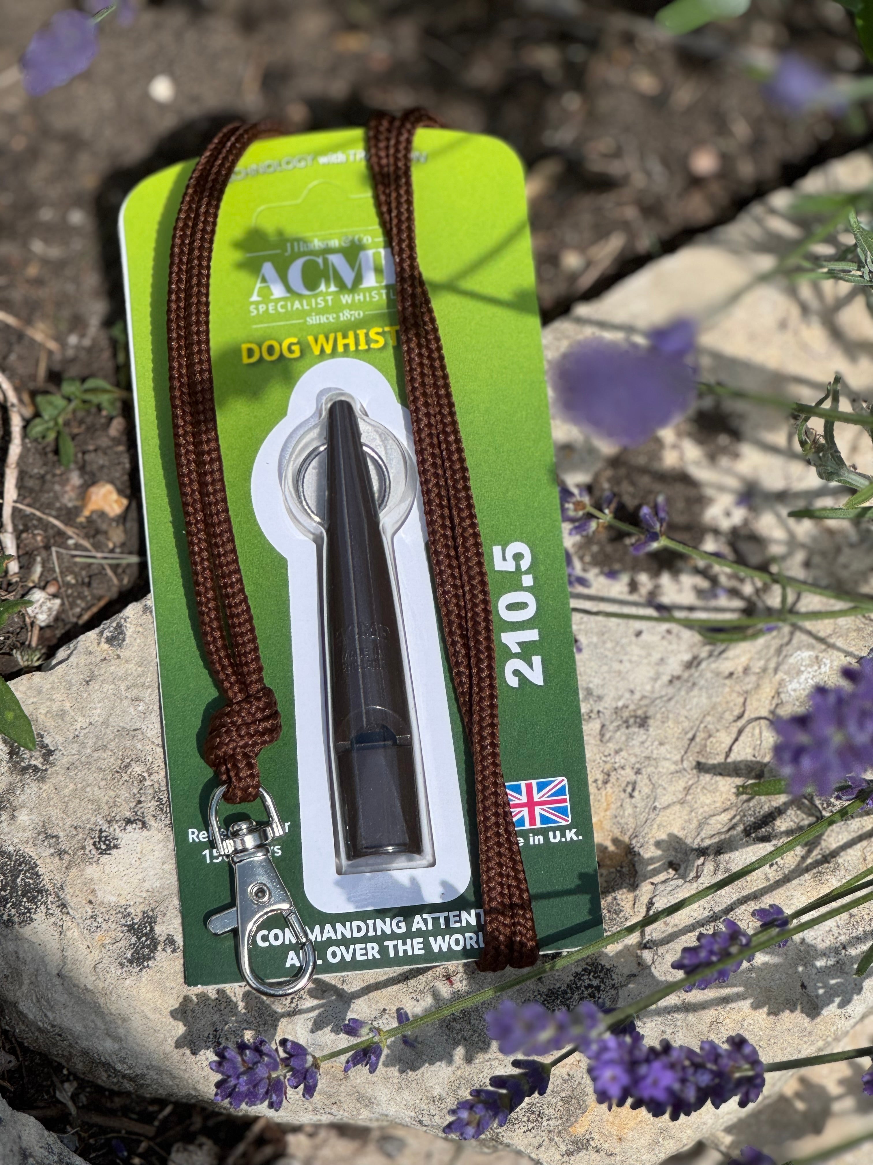 Paws@brooklyn Acme Whistle & Lanyard Set