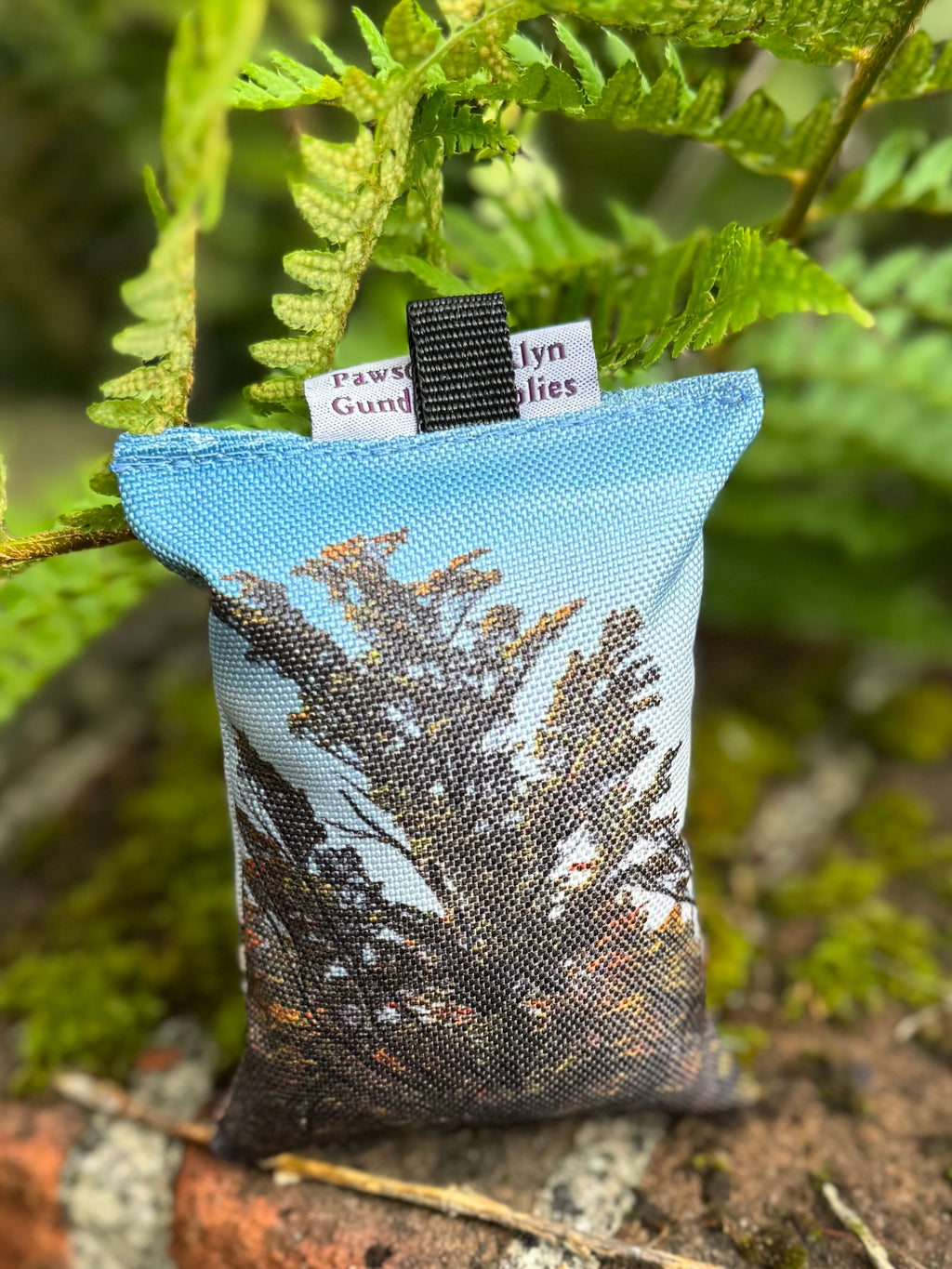 Paws@brooklyn Puppy Dummies