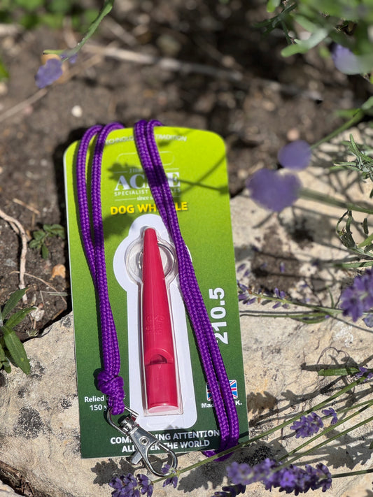 Paws@brooklyn Acme Whistle and Lanyard Set