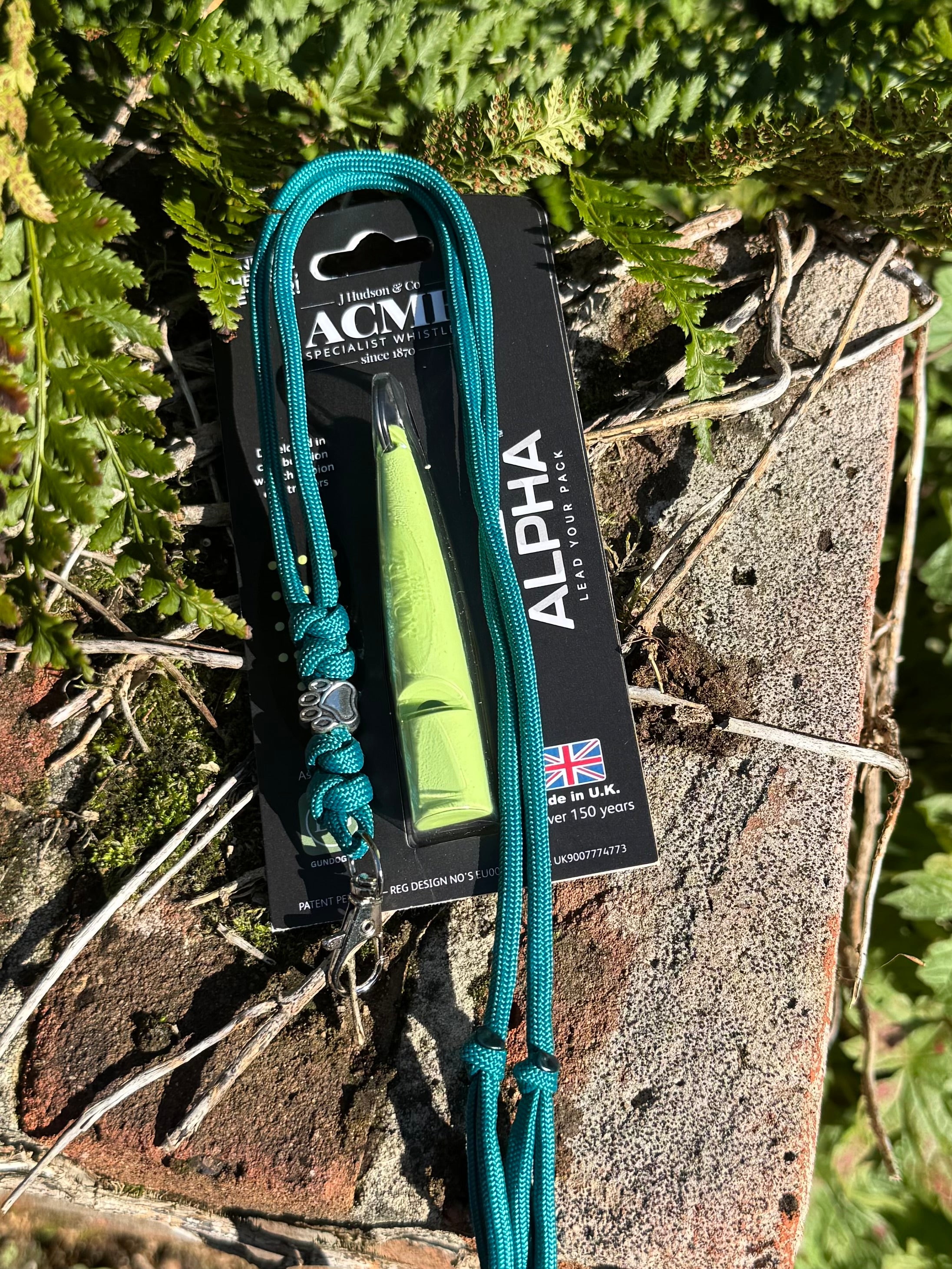 Paws@brooklyn Silver Paw Lanyard with Alpha Whistle