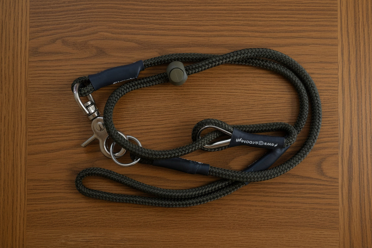 Darklass Double Swivel Lead