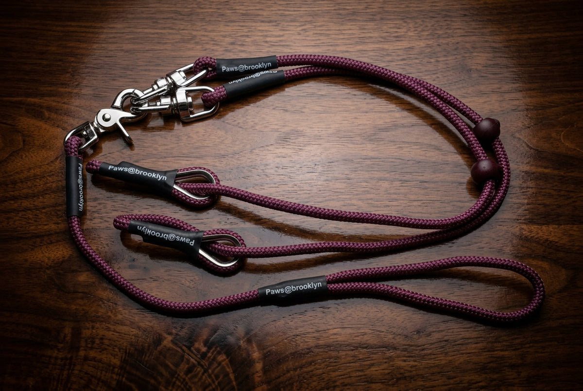 Darklass Double Swivel Lead