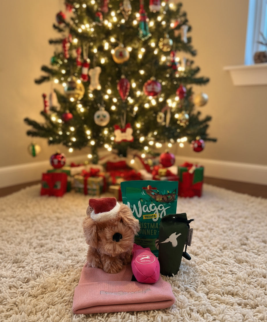 Pawsbrooklyn Christmas special offer for Dog and Handler