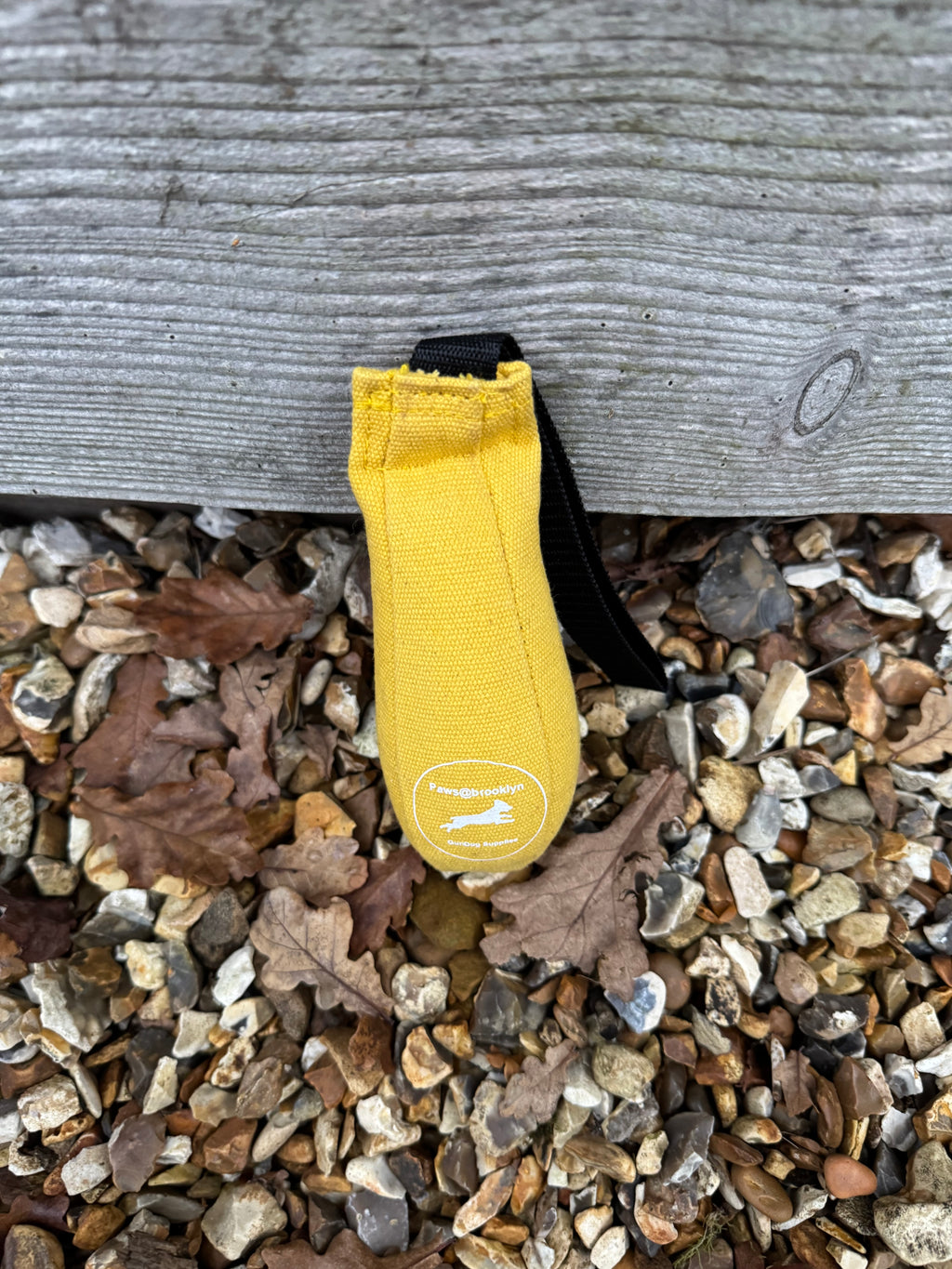 Paws@brooklyn Speedy Dummy Balls