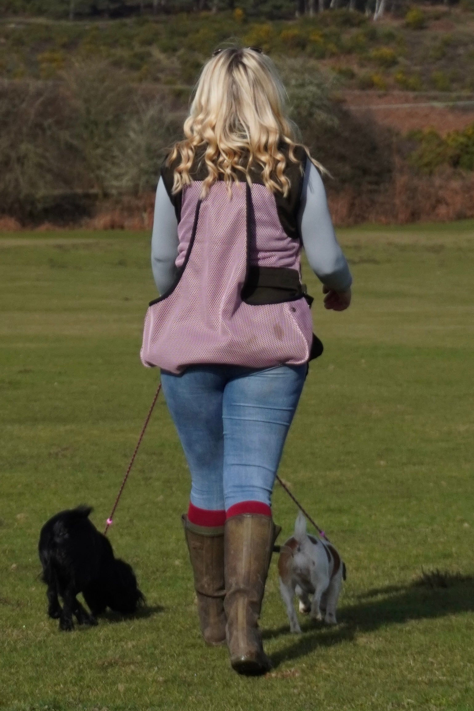 Paws@Brooklyn Lightweight Training Vest