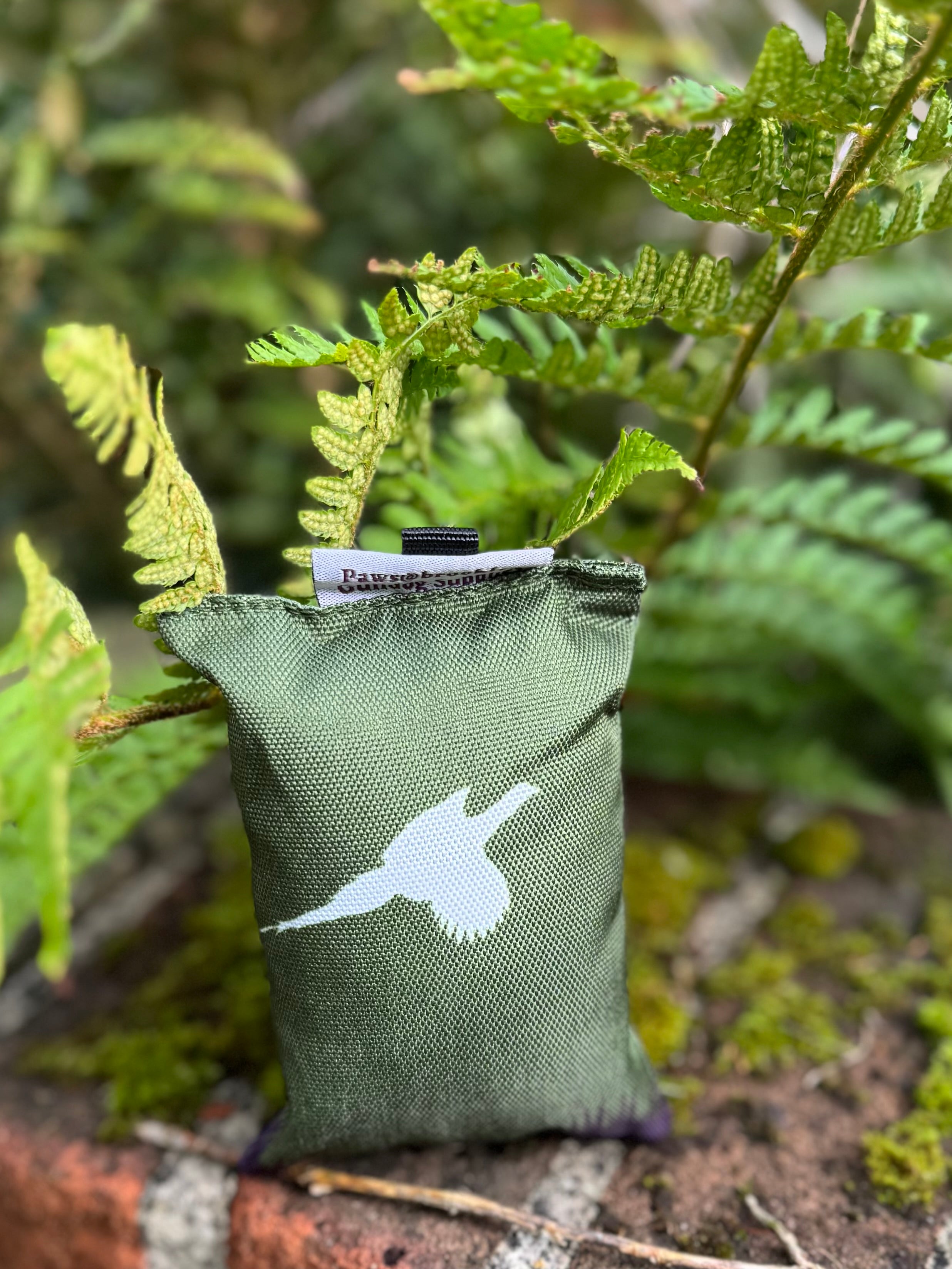 Paws@brooklyn Puppy Dummies