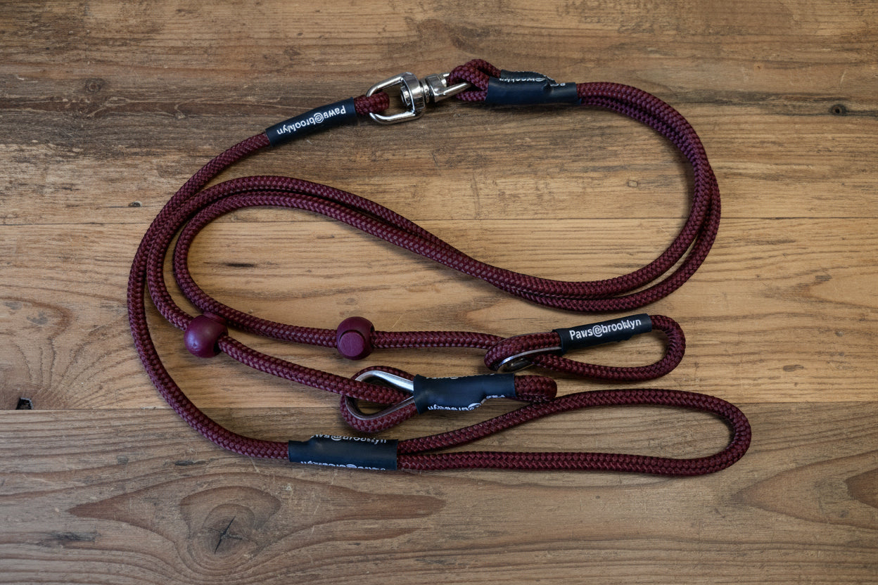 Paws@Brooklyn Double Slip Collar Swivel Lead
