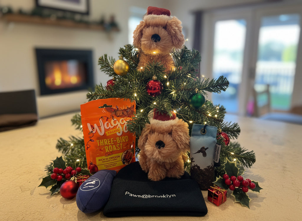 Pawsbrooklyn Christmas special offer for Dog and Handler