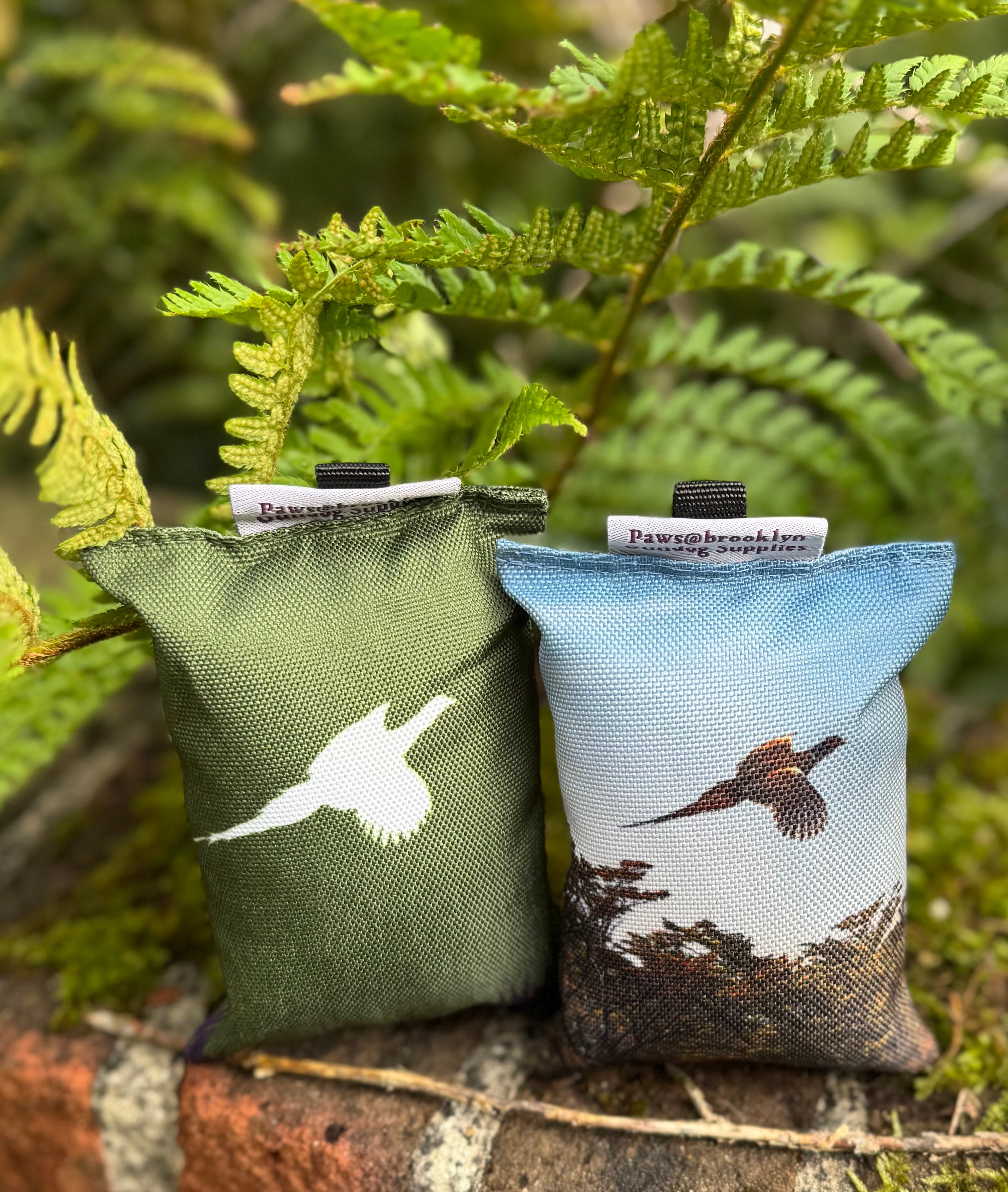 Paws@brooklyn Puppy Dummies