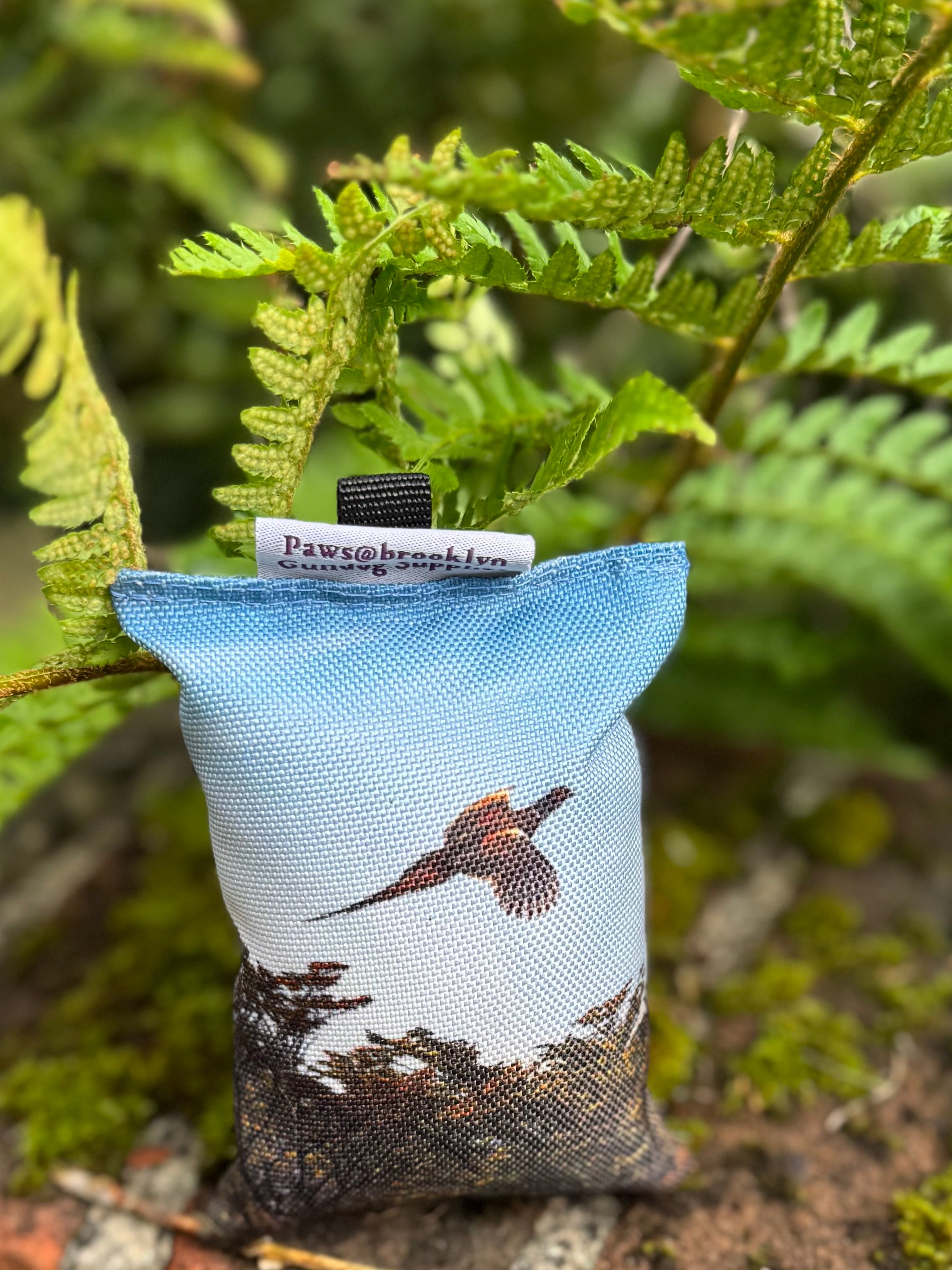 Paws@brooklyn Puppy Dummies