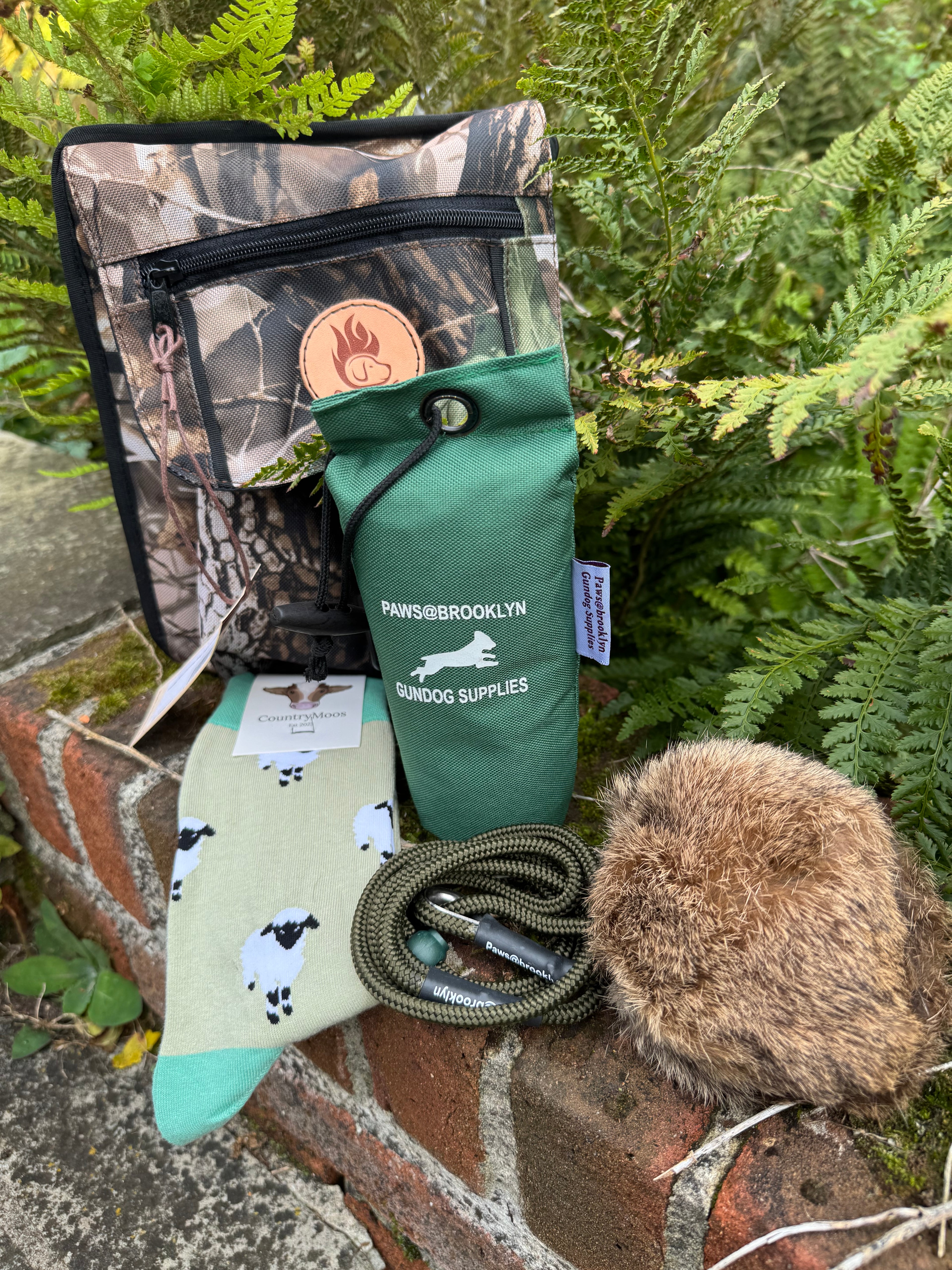 Paws@brooklyn Young Handler Starter Kit