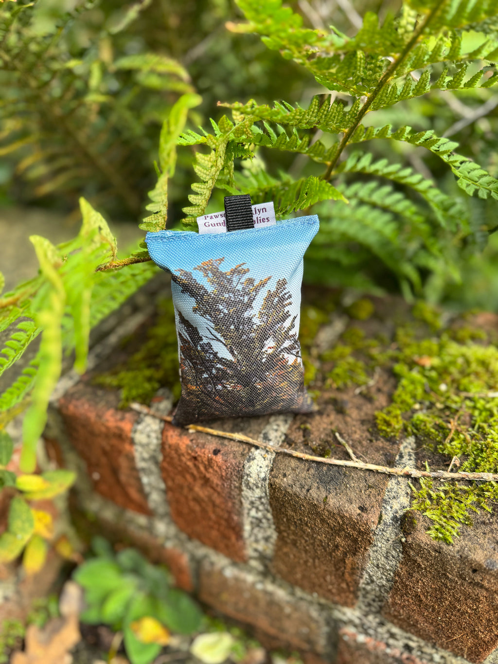 Paws@brooklyn NEW!!  The Game Pheasant Range