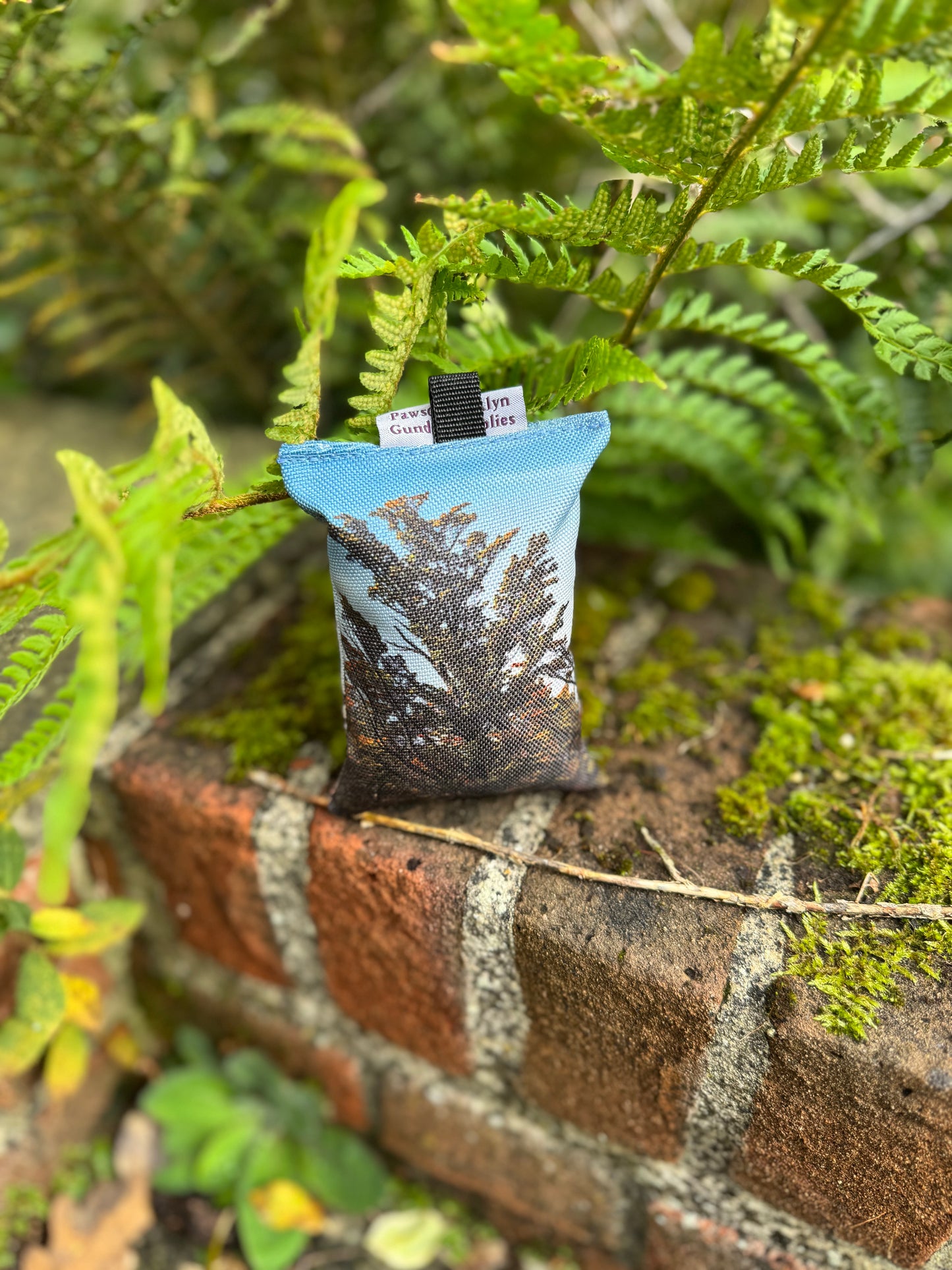 Paws@Brooklyn The Game Pheasant Range