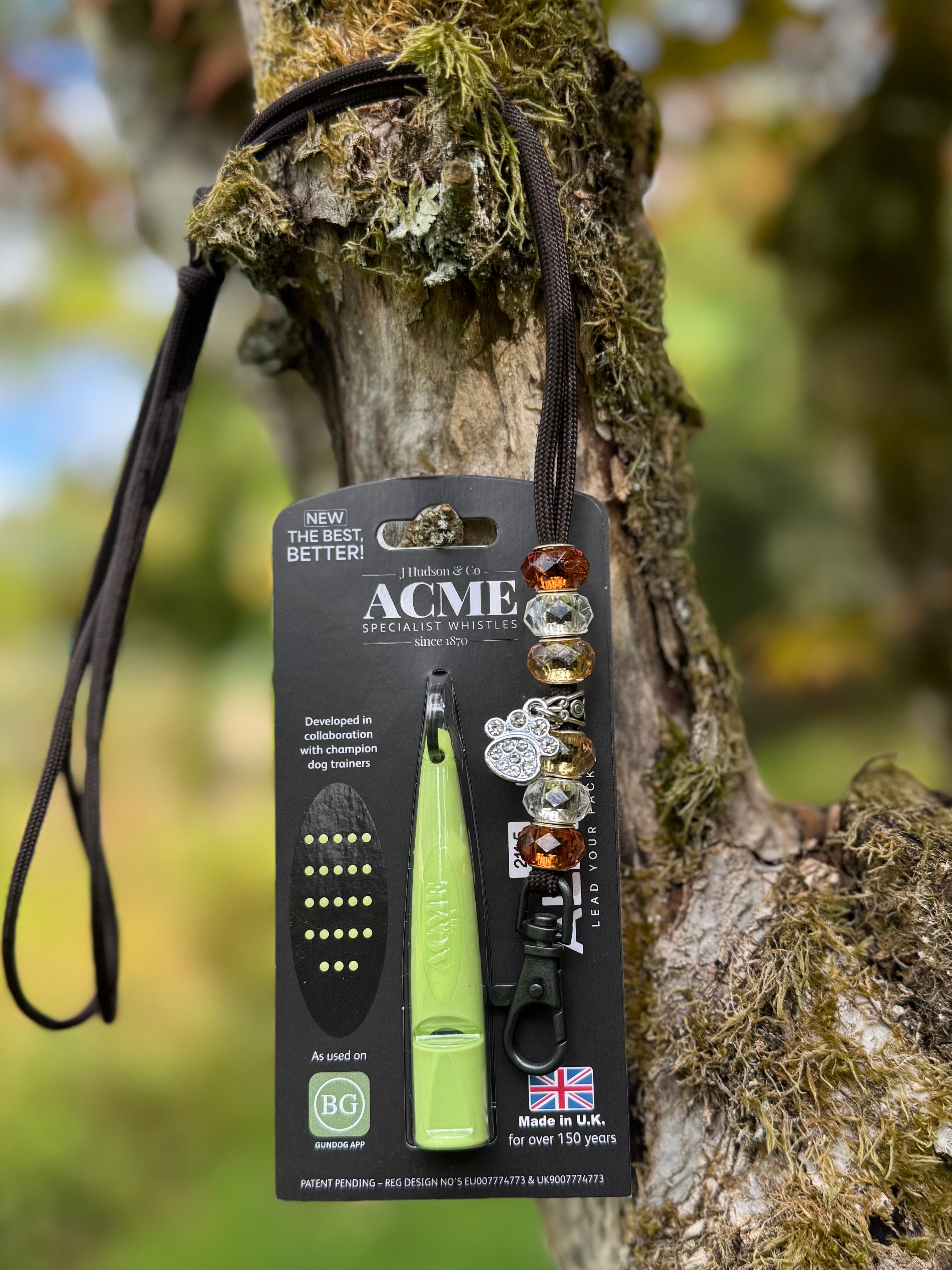 Beaded Lanyard with Alpha Whistle