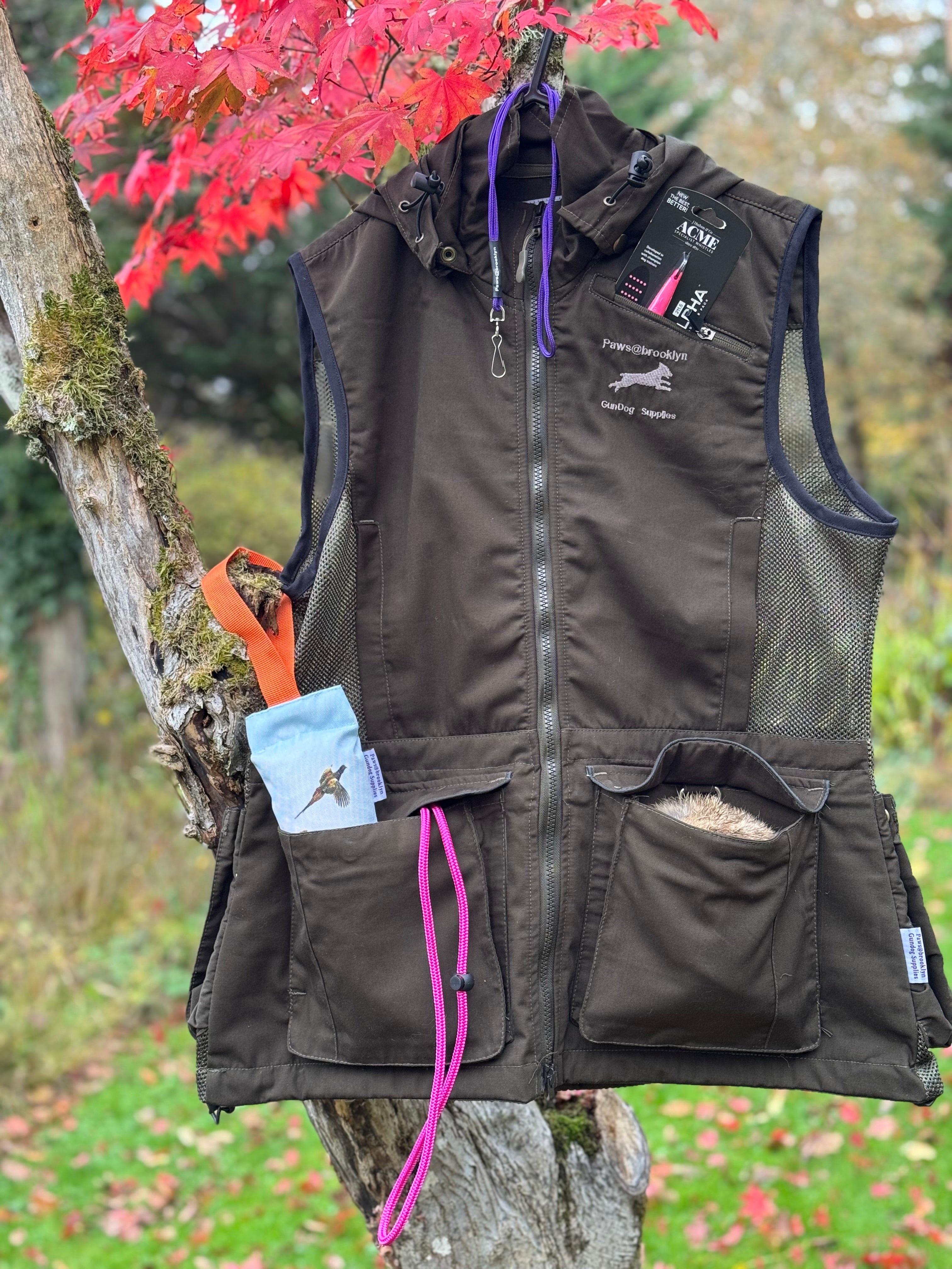 Paws@brooklyn Winter Special Offer