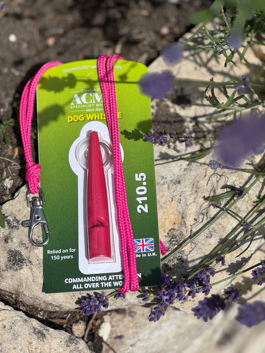 Paws@brooklyn Acme Whistle and Lanyard Set