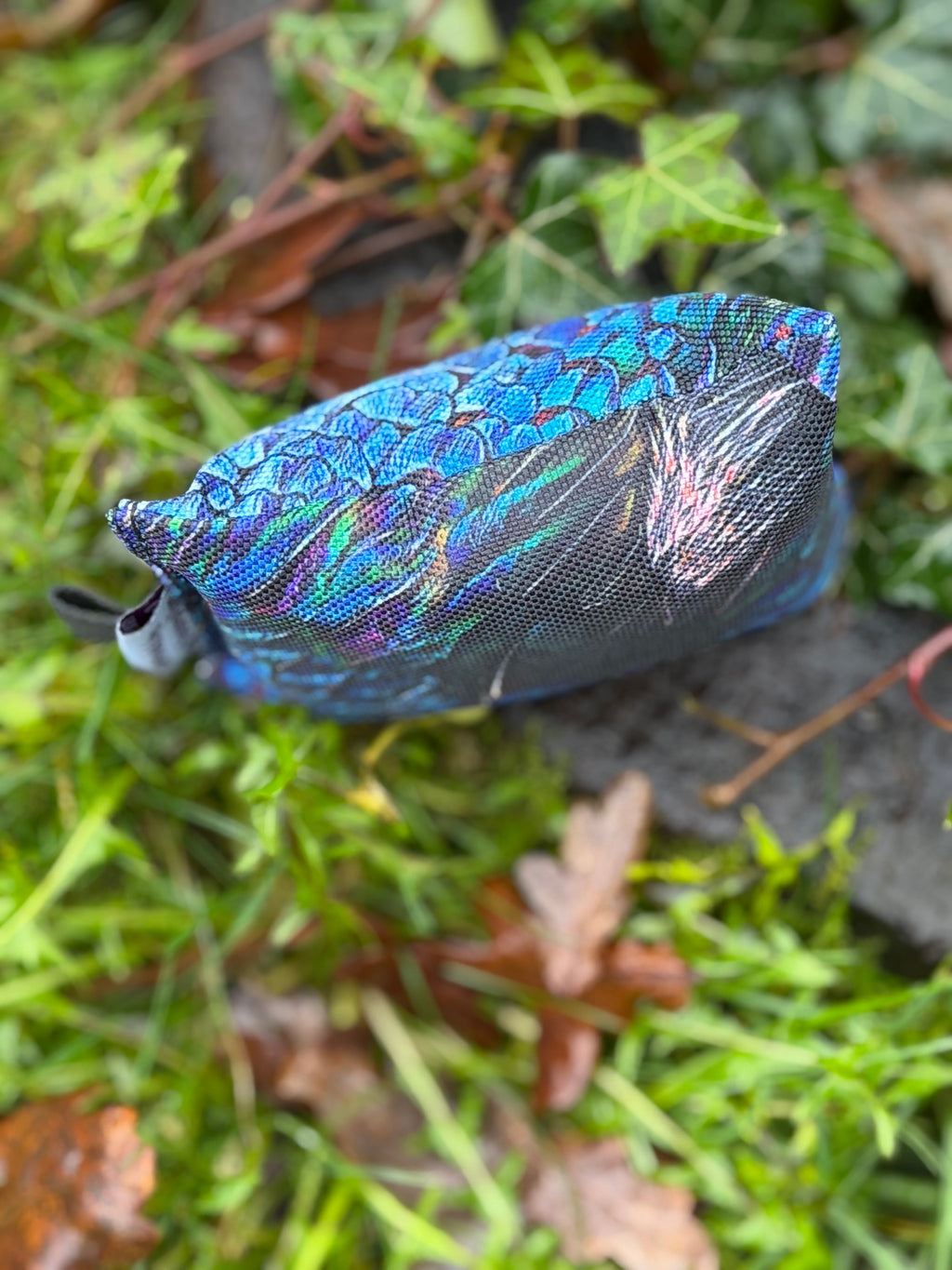 Paws@brooklyn Melanistic Range