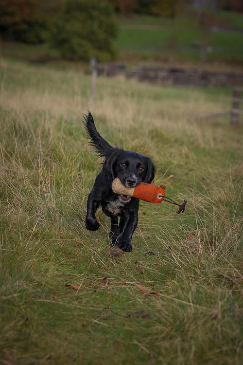 Firedog 250g Canvas Dummies