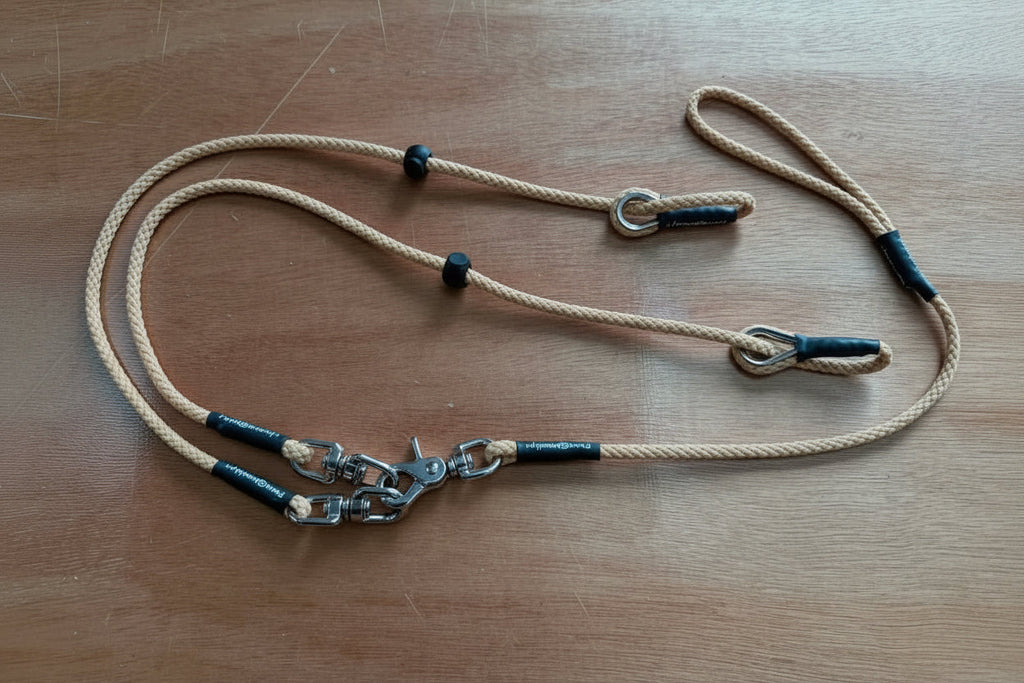 Darklass Double Swivel Lead