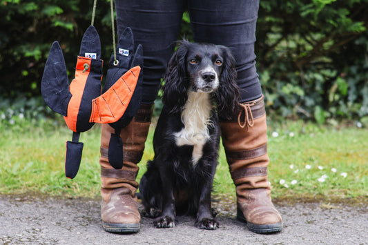 Sporting Saint Eclipse Range