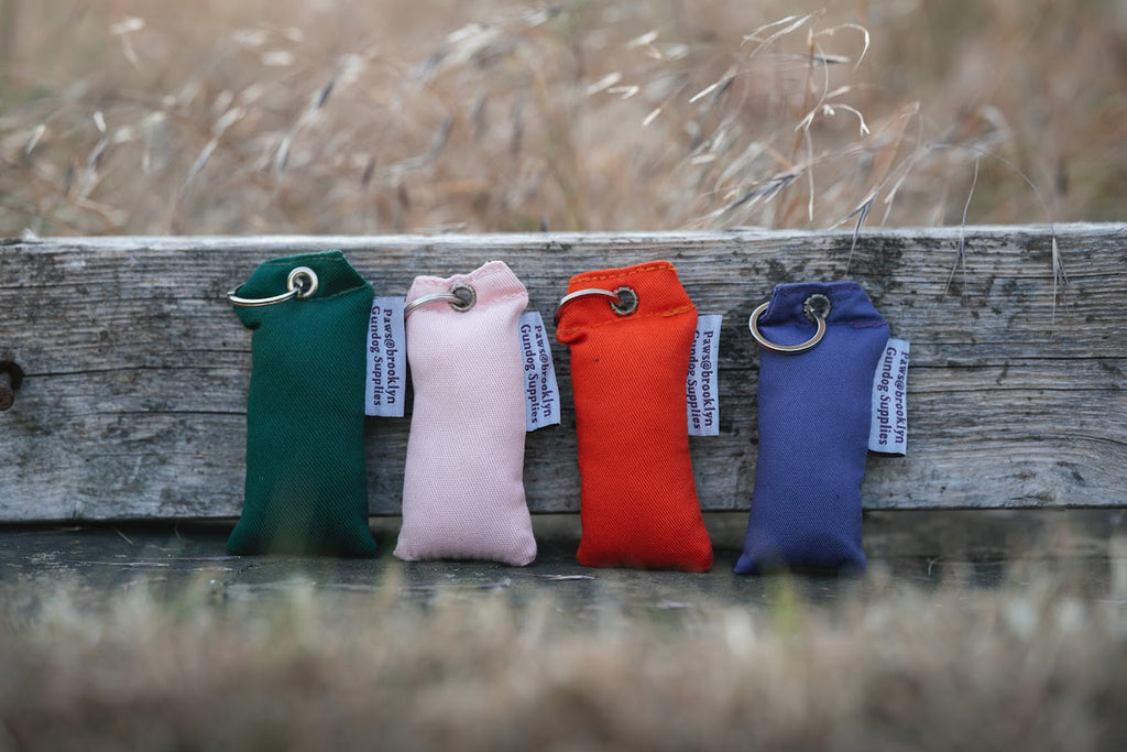Paws@Brooklyn KeyRing Dummies
