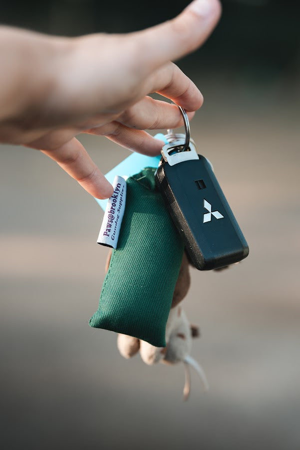 Paws@Brooklyn KeyRing Dummies
