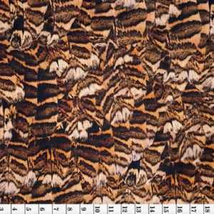 Foxy Pheasant Range
