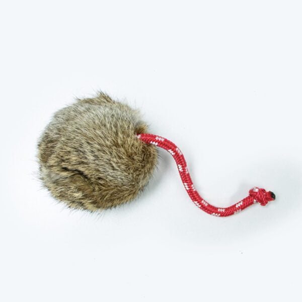 Dog and Field Long Throw Rabbit Ball