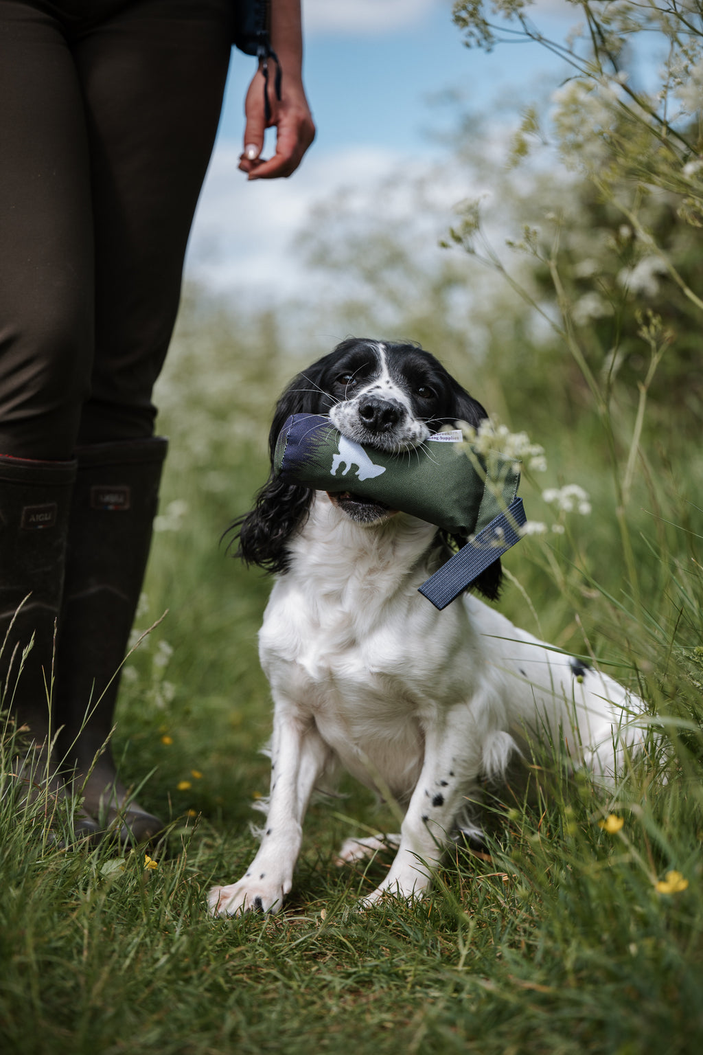 Paws@brooklyn Paws Spaniel Dummies