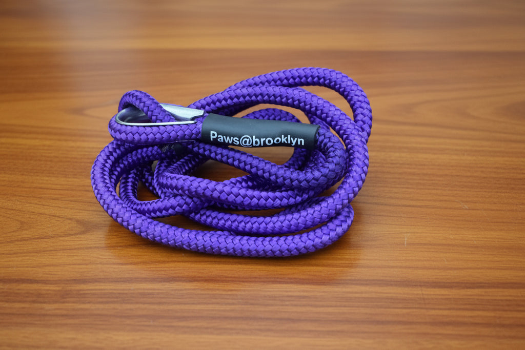 Paws@Brooklyn The Slip & Go 6mm Slip Lead