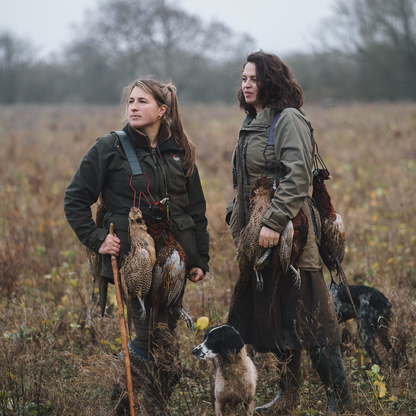 Paws@Brooklyn Deluxe Leather Game Carriers