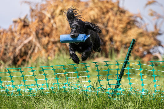 Dog and Field Ultra Light Training Dummy