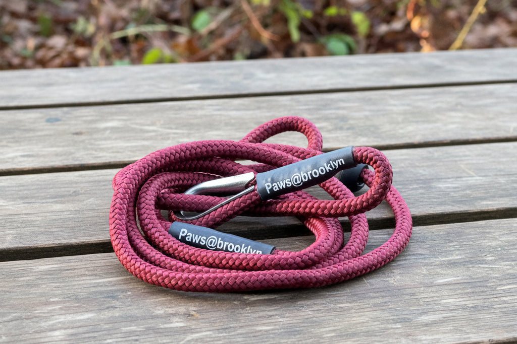 Paws@Brooklyn The Slip & Go 6mm Slip Lead