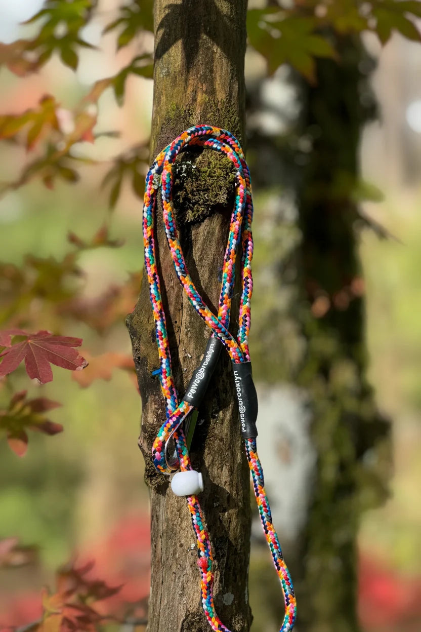 Slip & Go 6mm Slip Leads