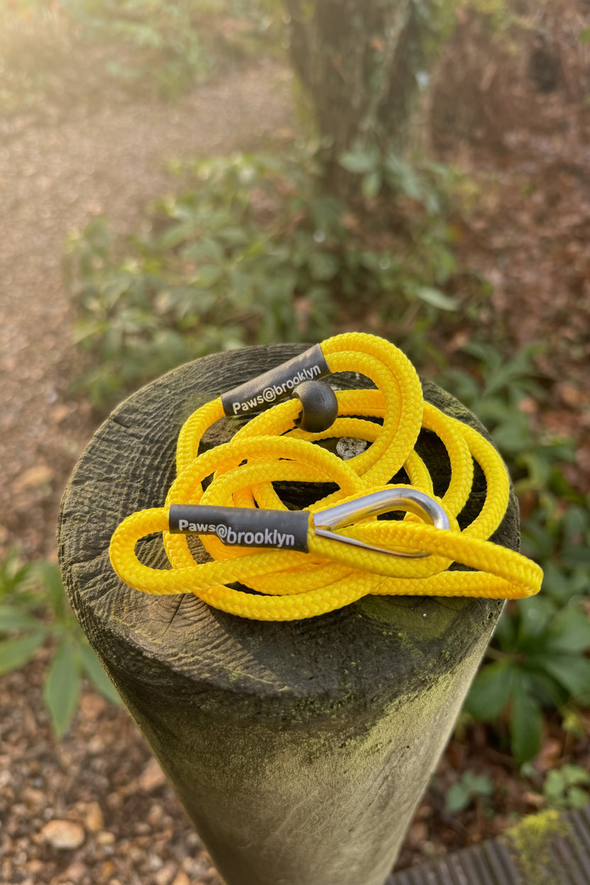 Paws@Brooklyn The Slip & Go 6mm Slip Lead