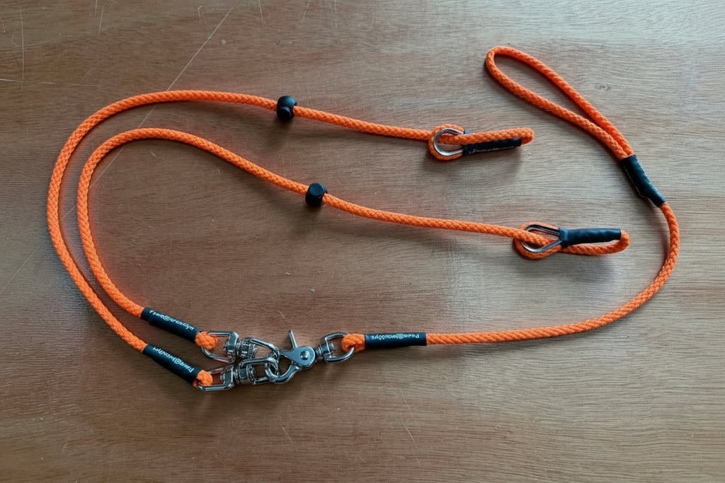 Darklass Double Swivel Lead