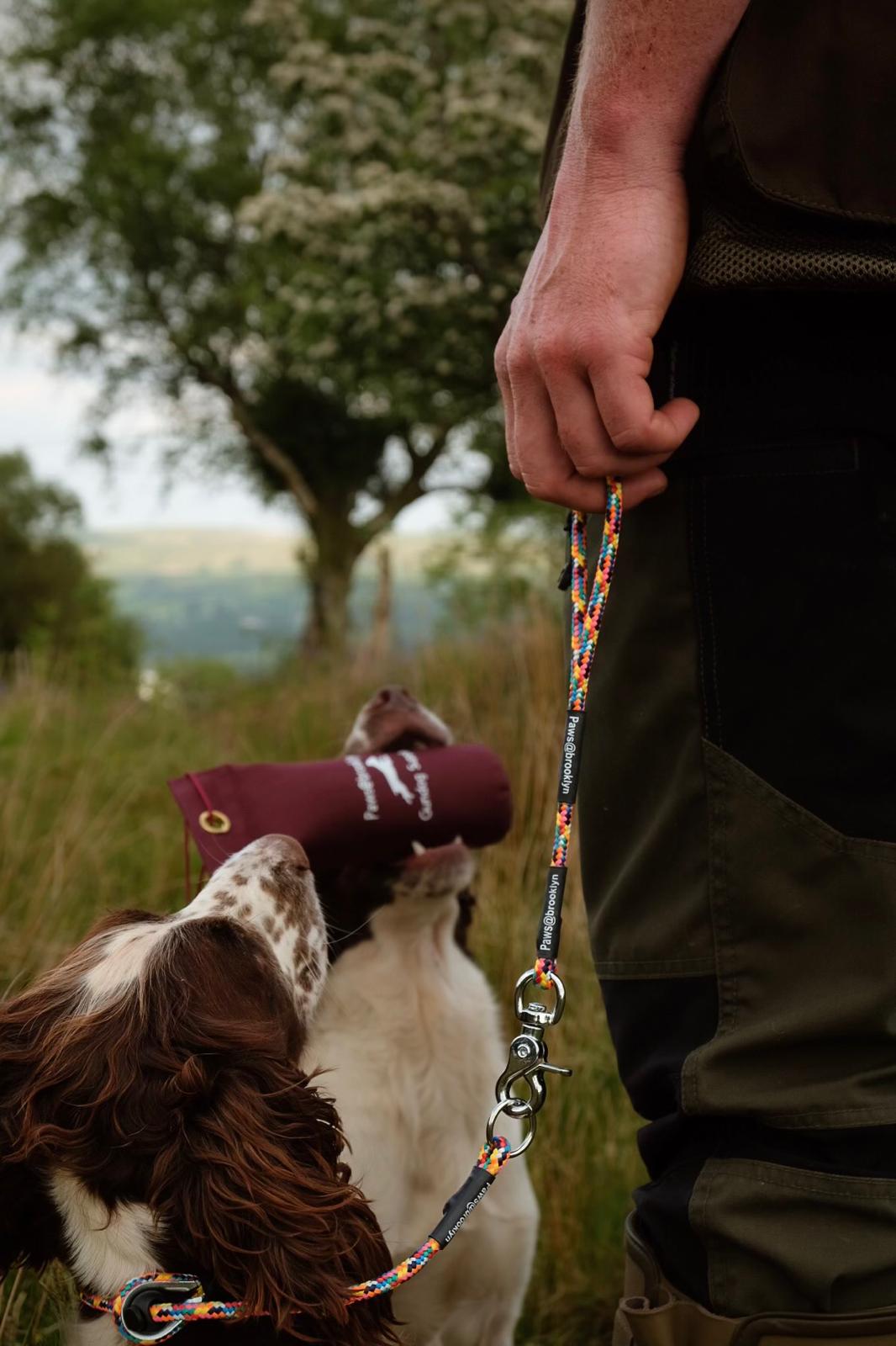 Paws@brooklyn Gundog Supplies heeling lead with slip collar