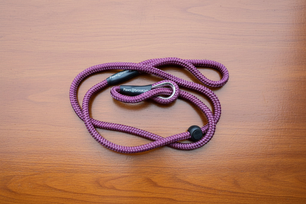 Paws@Brooklyn 8mm Slip Leads